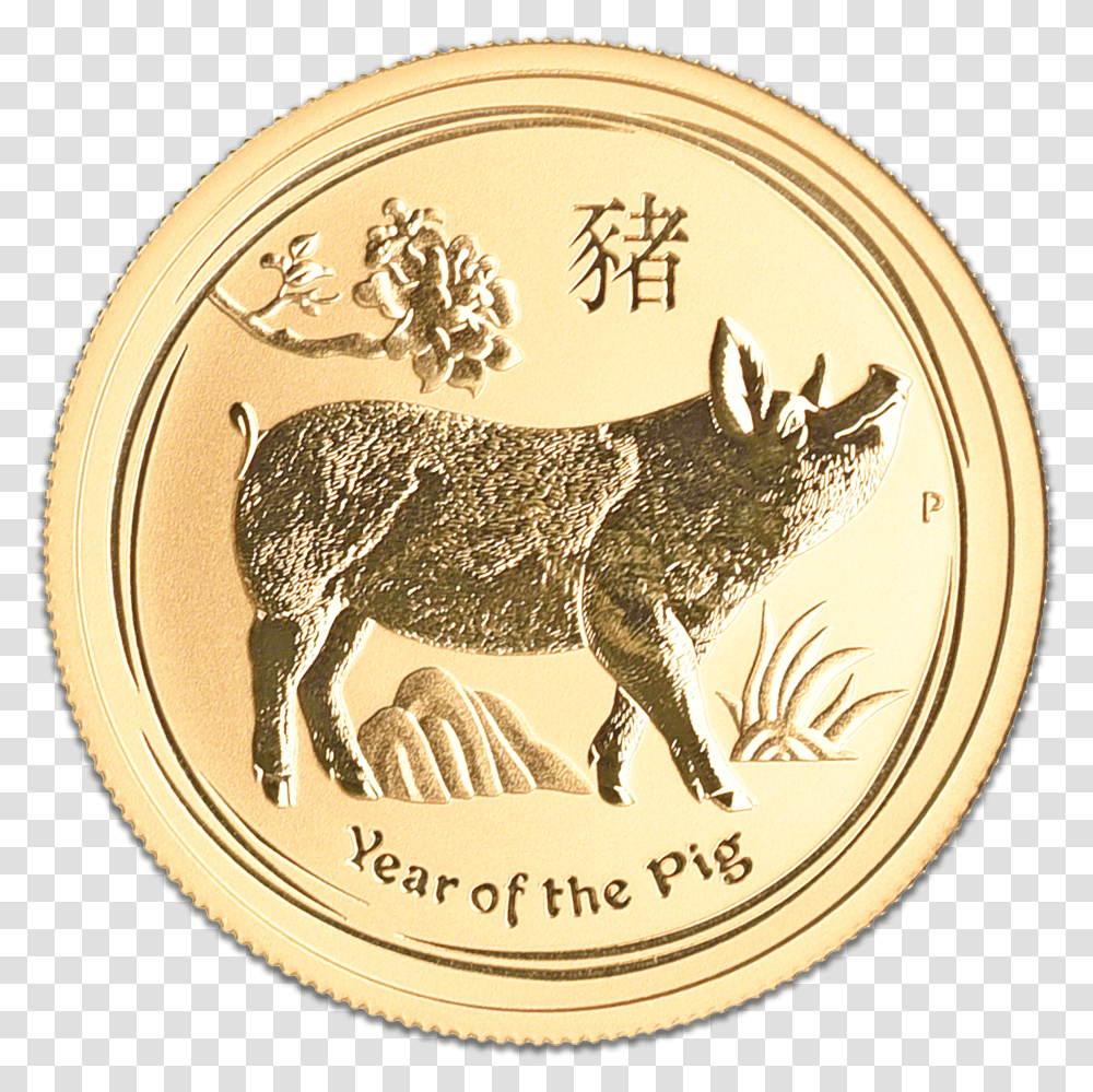 X 2400 Gold Coin Pig Transparent Png