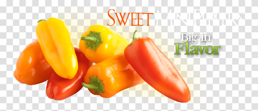 X 370 Yellow Pepper, Plant, Vegetable, Food, Bell Pepper Transparent Png