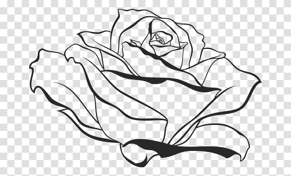 X 545 Rose From The Side Drawing, Flower, Plant, Blossom, Petal Transparent Png