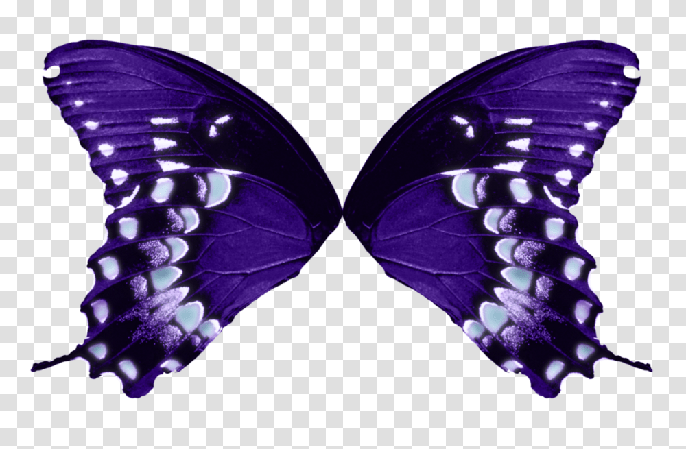 X 711 16 Butterfly Wings Background, Ornament, Pattern, Invertebrate, Animal Transparent Png