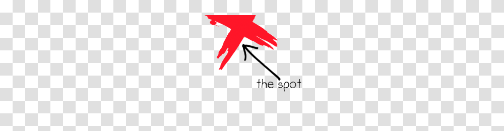 X Marks The Spot Image, Logo, Trademark, Star Symbol Transparent Png