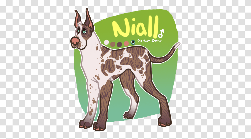 X Niall The Great Dane, Dog, Pet, Canine, Animal Transparent Png