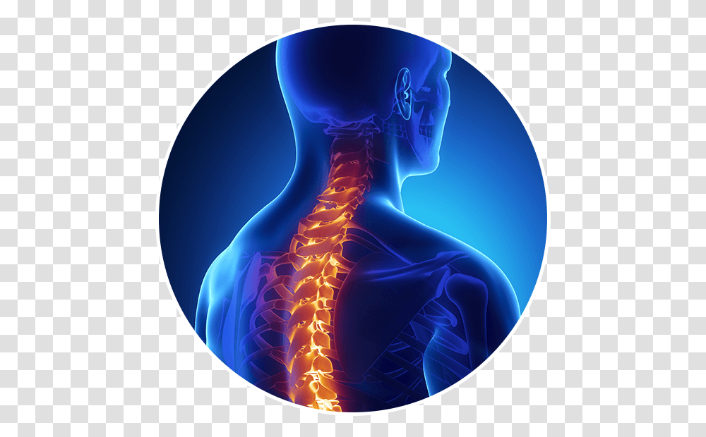 X Ray Backbone, Hip, X-Ray, Ct Scan, Medical Imaging X-Ray Film Transparent Png