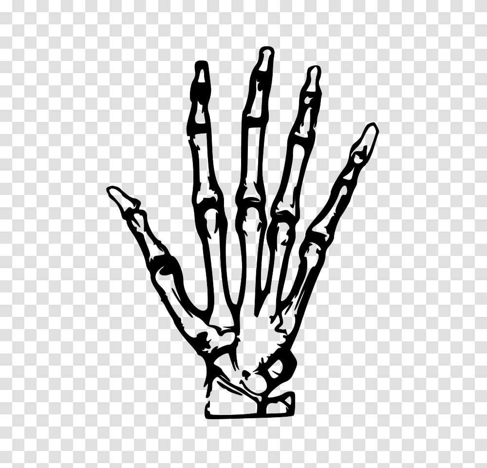 X Ray Clip Art, Gray, World Of Warcraft Transparent Png