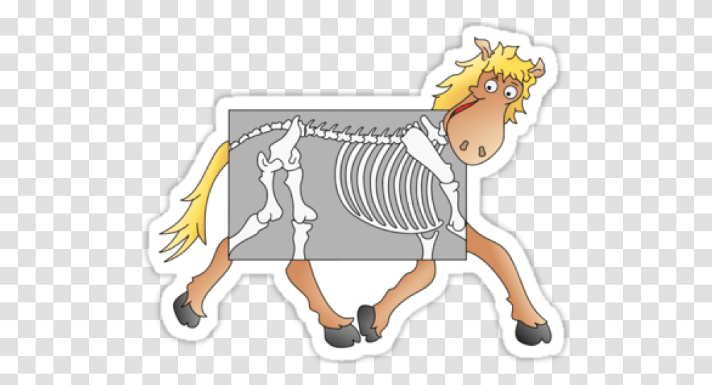 X Ray Clipart Animal Xray X Ray, Person, Human, Fence Transparent Png