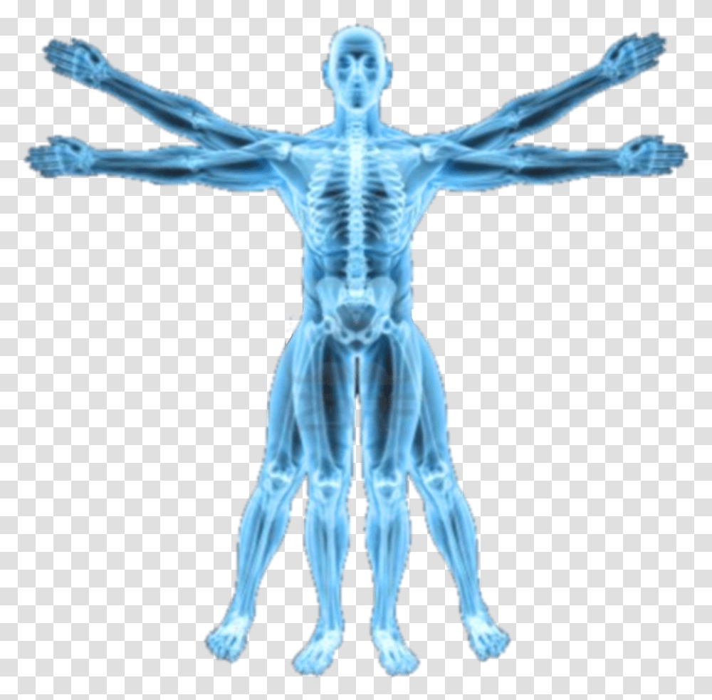 X Ray Human Body Xray, X-Ray, Ct Scan, Medical Imaging X-Ray Film, Person Transparent Png
