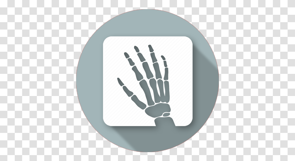 X Ray Icon Basilica Ray Icon, Leisure Activities, Bagpipe, Musical Instrument, Hand Transparent Png