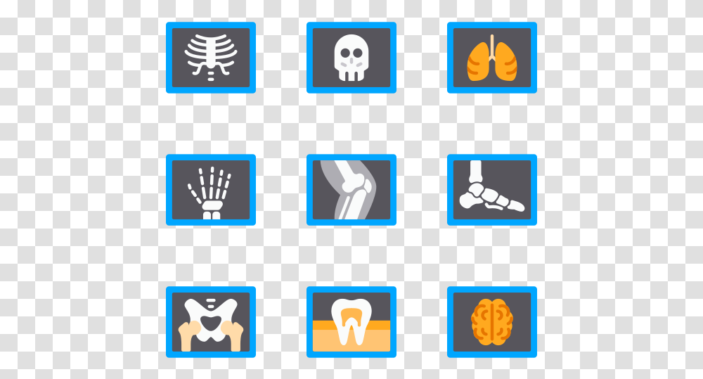 X Ray Radiology Icons, Light, Hand Transparent Png