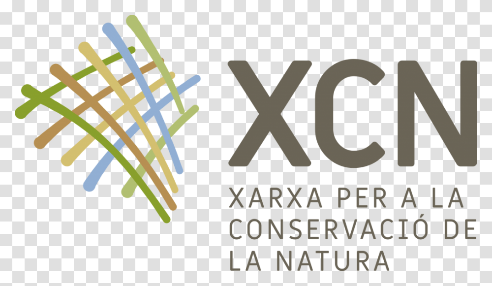 Xarxa Per A La Conservaci De La Natura, Alphabet, Face, Plant Transparent Png