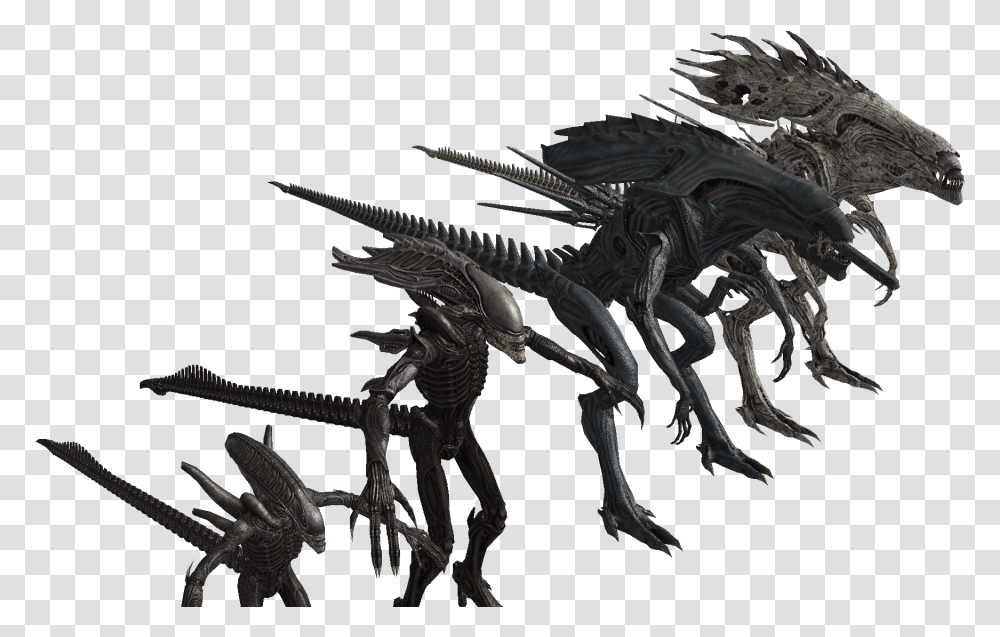 Xenomorph Alien King Vs Alien Queen, Dinosaur, Reptile, Animal, Dragon Transparent Png