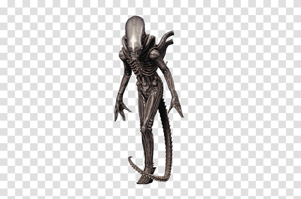 Xenomorph Image, Skeleton, Alien, Insect, Invertebrate Transparent Png