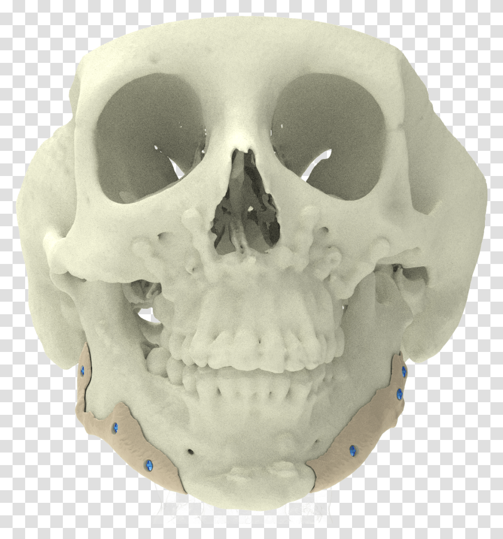 Xilloc Medical B Skull, Skeleton, Helmet, Apparel Transparent Png