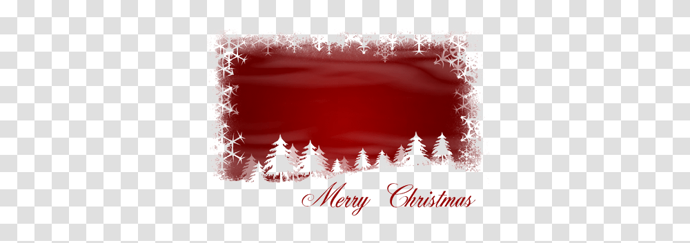 Xmas Greetings Free Image Arts Christmas Is My Favorite Time Of Year, Tree, Plant, Ornament, Christmas Tree Transparent Png