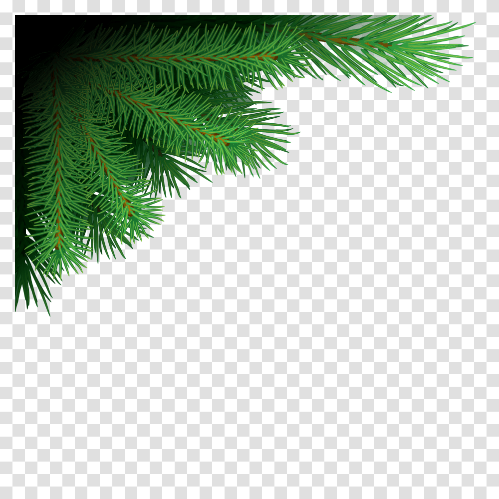 Xmas Tree Branches Image Format Christmas Tree, Leaf, Plant, Conifer, Hedge Transparent Png