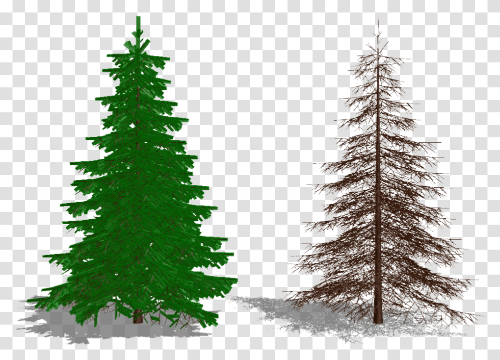 Xmas Tree Type 02 By Arisumatio Christmas Tree, Plant, Ornament, Pine, Fir Transparent Png