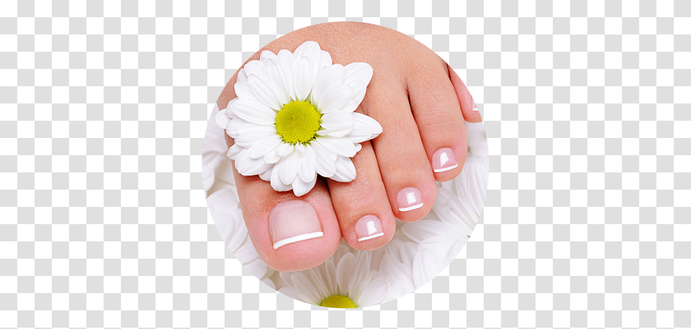 Xo Nails Home Feets, Person, Human, Manicure, Plant Transparent Png
