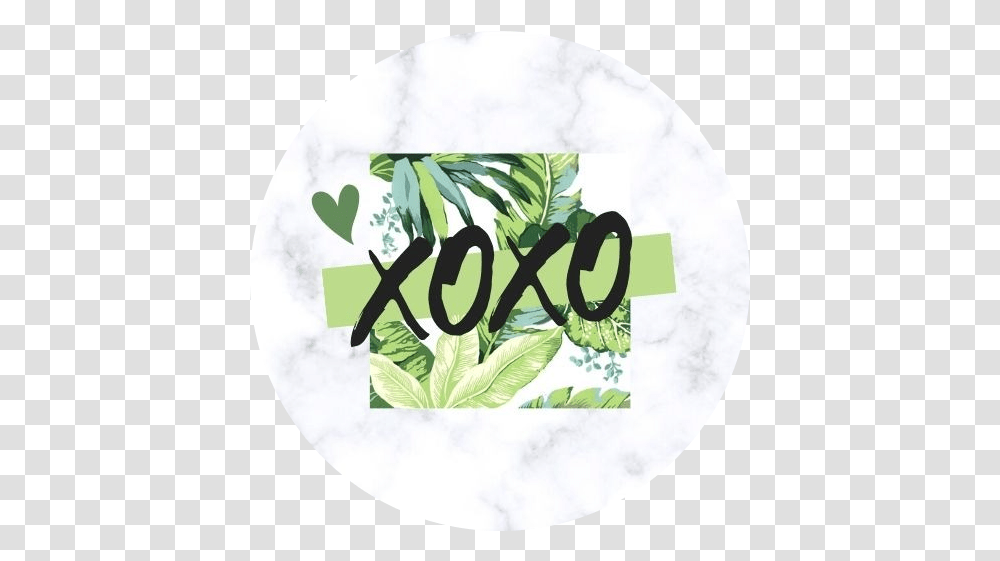 Xoxoteams Linktree Language, Plant, Logo, Symbol, Alphabet Transparent Png