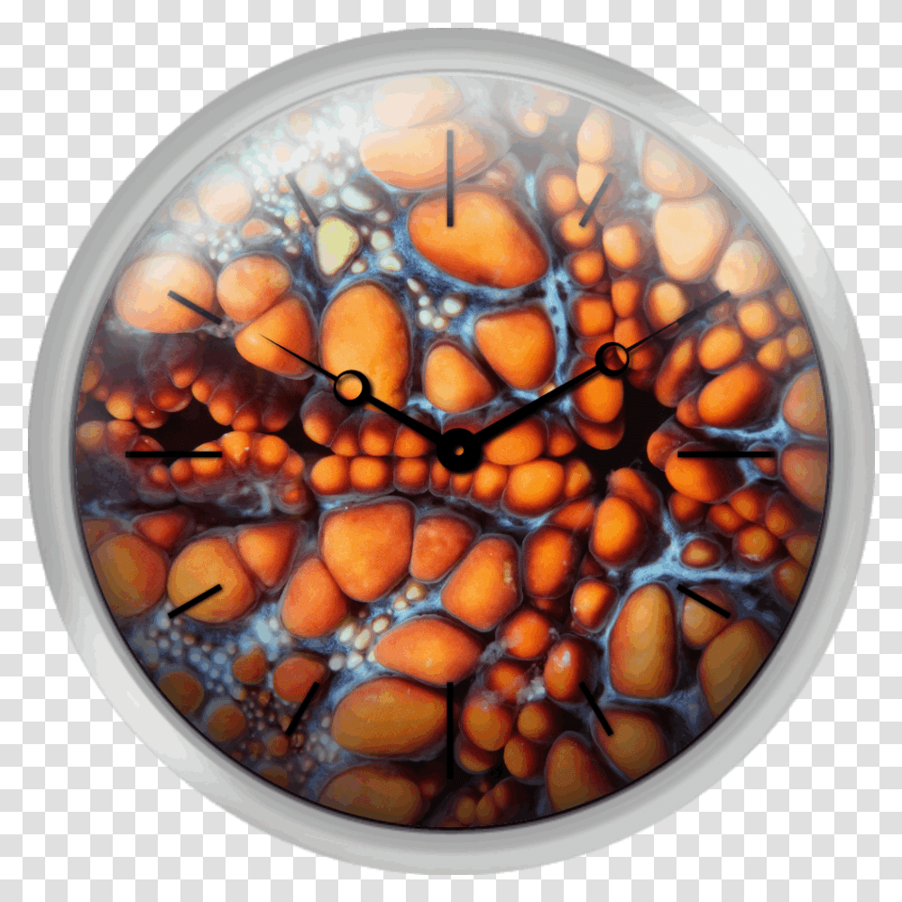Xpress Clocks Gallery Sea Star Stained Glass, Ornament, Pattern, Sphere, Fractal Transparent Png