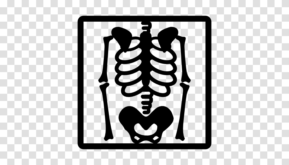 Xray, Electronics, Skeleton, Stencil Transparent Png