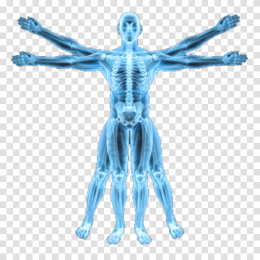Xray, Electronics, X-Ray, Ct Scan, Medical Imaging X-Ray Film Transparent Png
