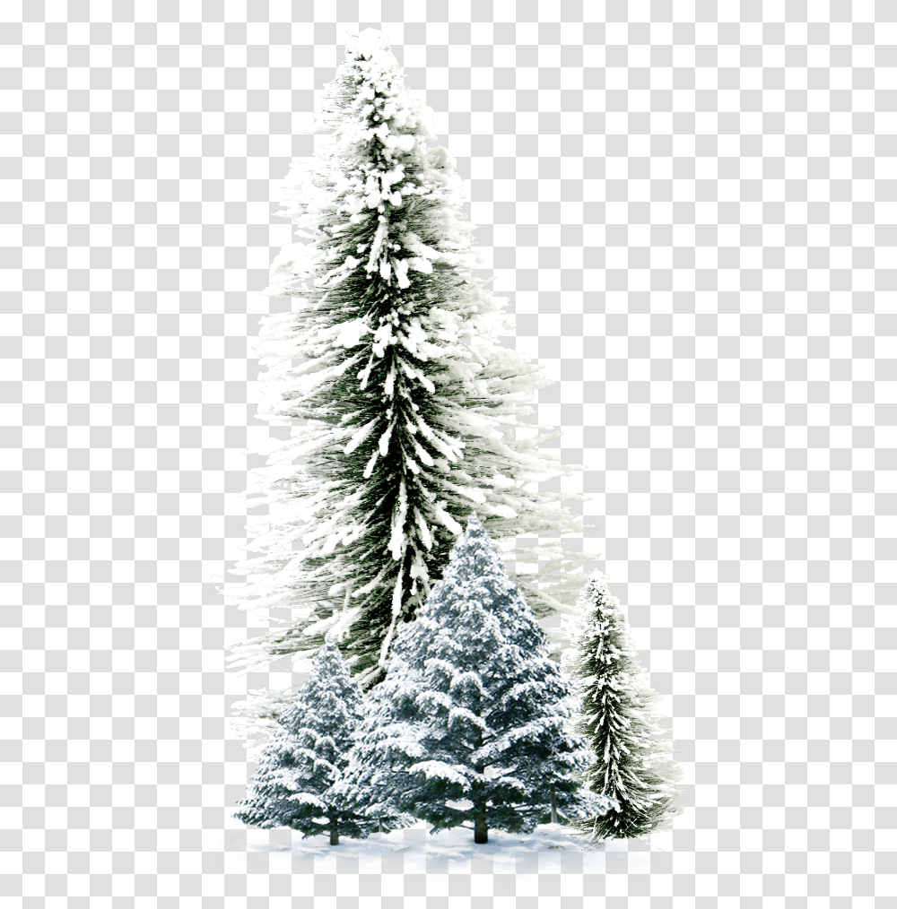 Xronia Polla Greek Christmas, Christmas Tree, Ornament, Plant, Pine Transparent Png