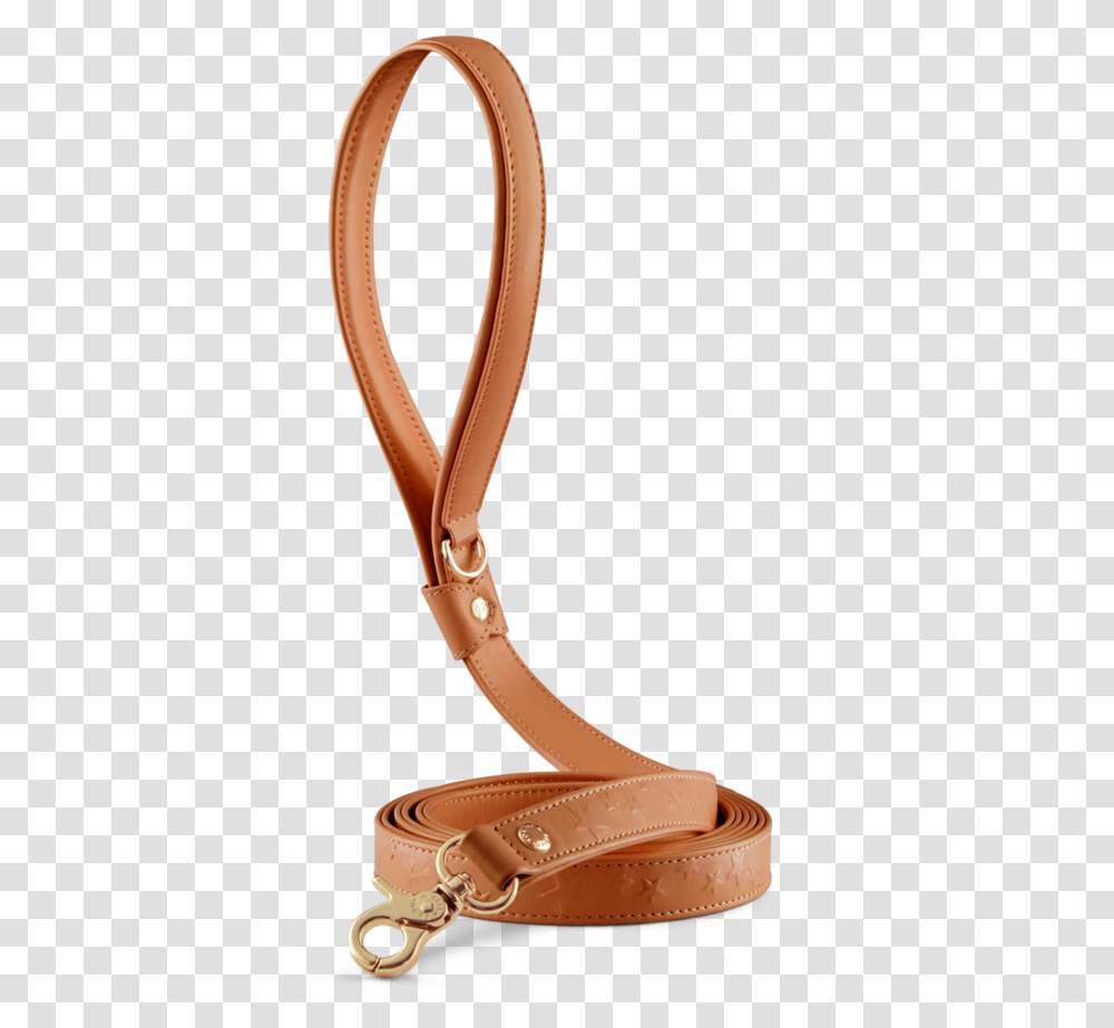 Xs S M L, Sandal, Footwear, Apparel Transparent Png