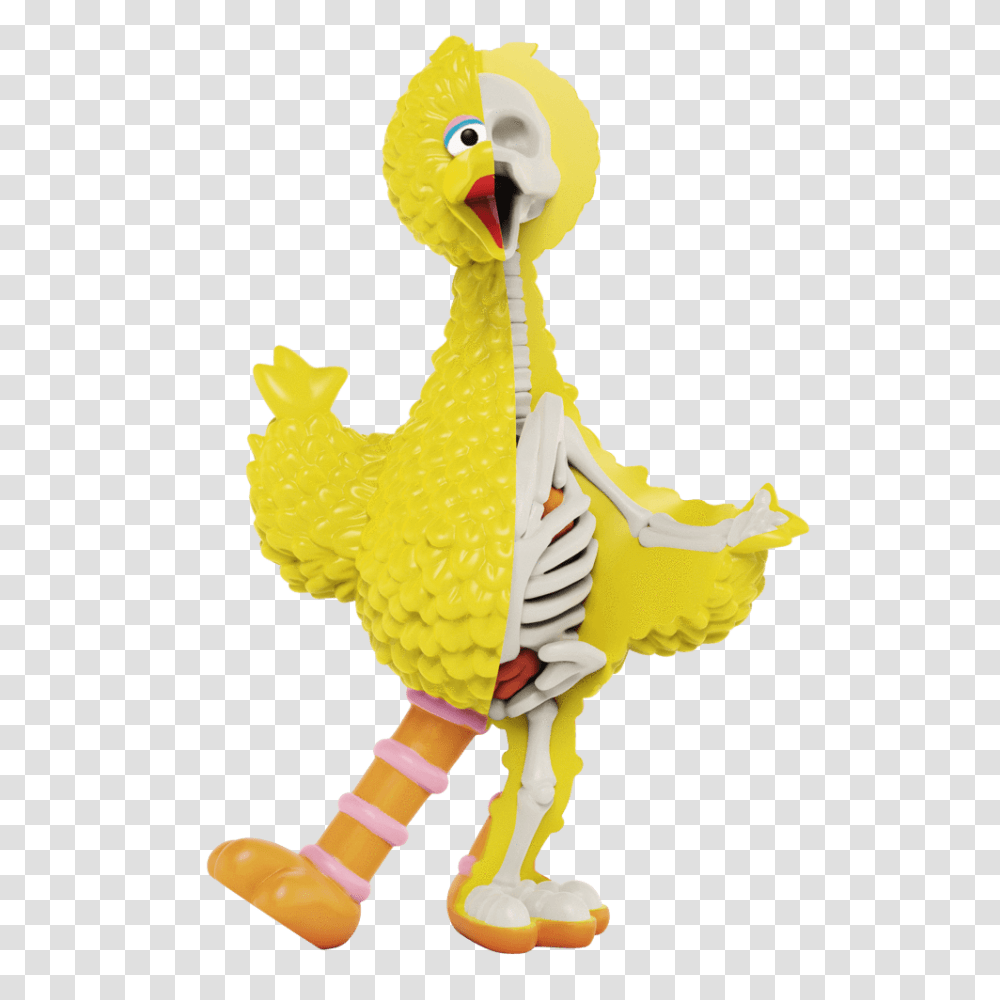 Xxray Plus Sesame Street Big Bird - Mighty Jaxx Semesame Street Big Bird, Toy, Animal, Figurine, Leisure Activities Transparent Png