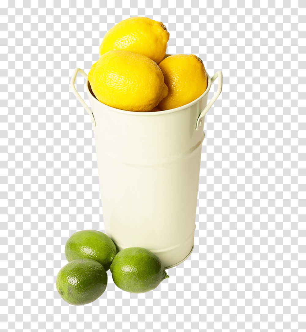 Xxxl Clip, Citrus Fruit, Plant, Food, Lime Transparent Png