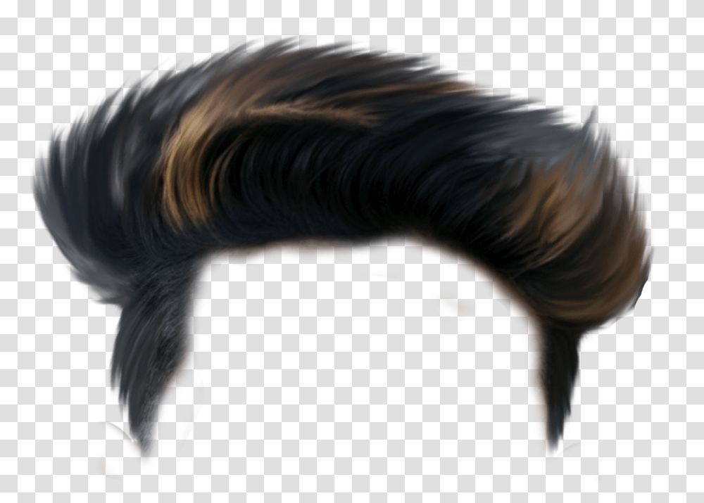 Xxxtentacion Hair Posted By Ryan Sellers Hair Picsart Editing, Person, Mammal, Animal, Horse Transparent Png