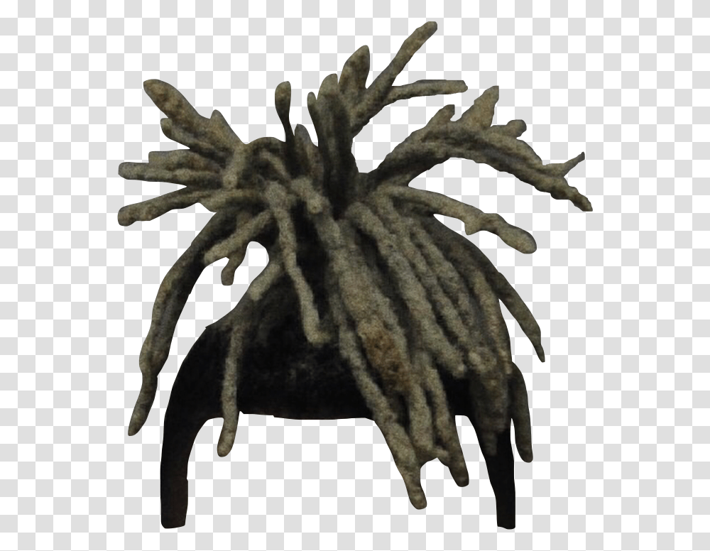 Xxxtentacion, Tree, Plant, Spider, Invertebrate Transparent Png