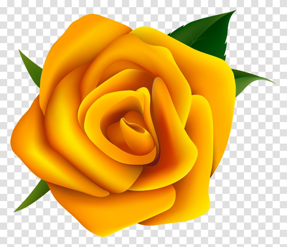 Y Dibujos, Rose, Flower, Plant, Blossom Transparent Png