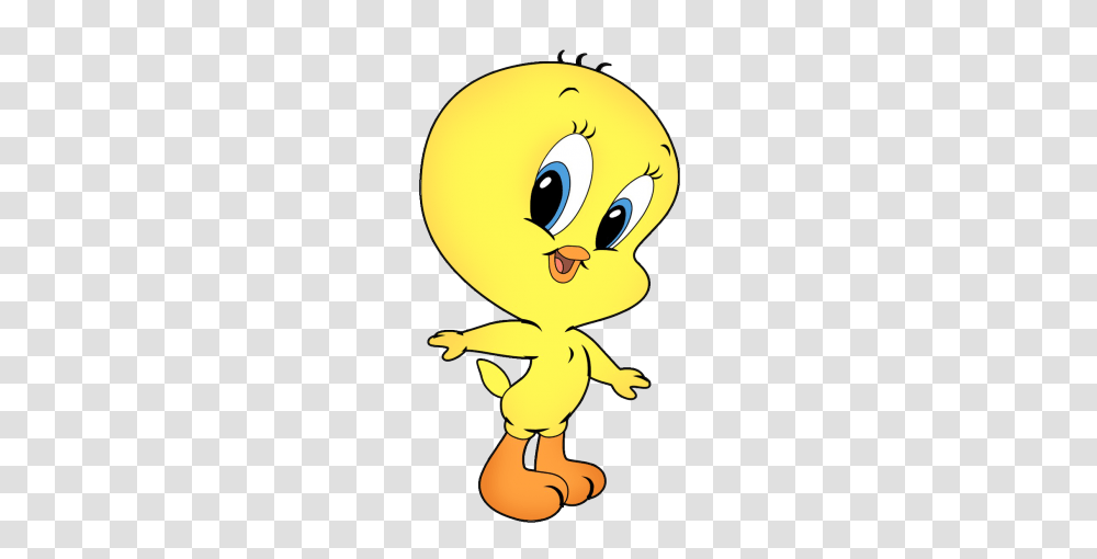 Y Marcos De Looney Tunes Para Peques Outros, Animal, Bird Transparent Png