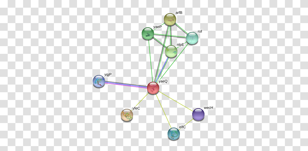 Yaeq Protein Circle, Network, Diagram, Astronomy, Lighting Transparent Png
