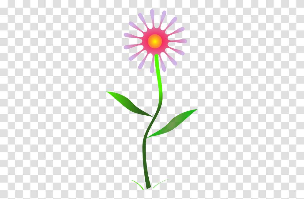 Yahoo Free Clipart Images, Plant, Flower, Blossom, Anther Transparent Png