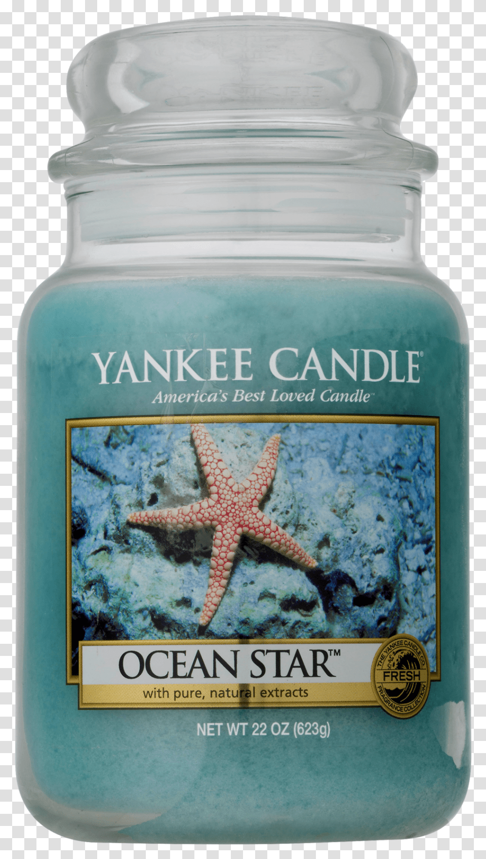 Yankee Candle Ocean Star, Bottle, Sea Life, Animal, Invertebrate Transparent Png
