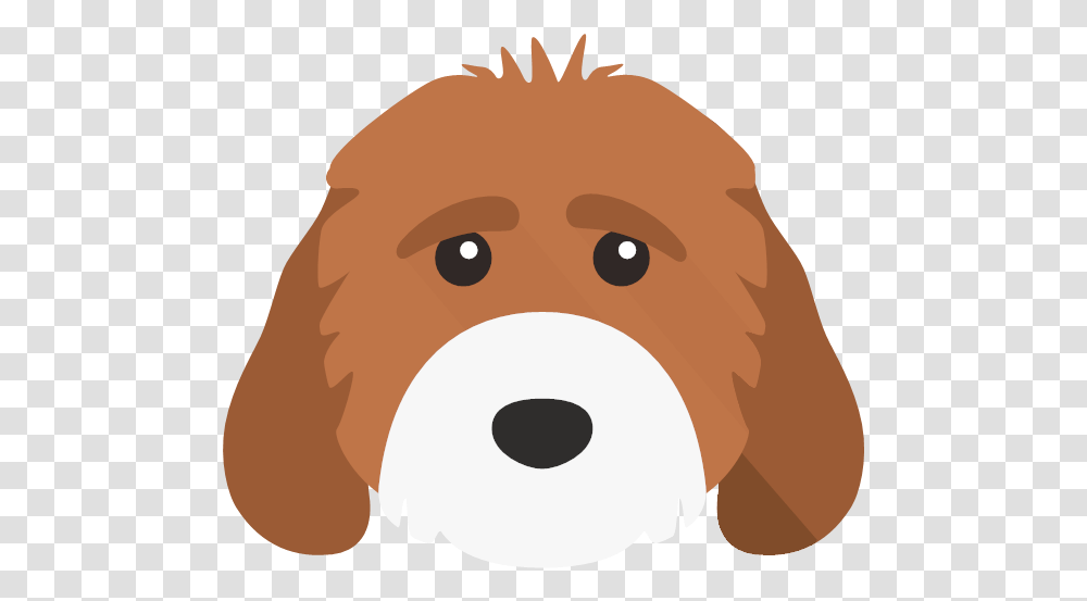 Yappicon Companion Dog, Snout, Canine, Mammal, Animal Transparent Png