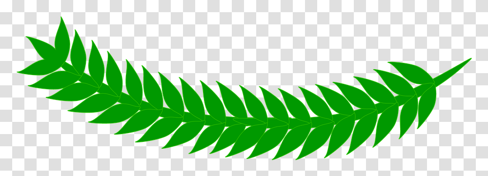 Yaprak, Leaf, Plant, Green, Grass Transparent Png