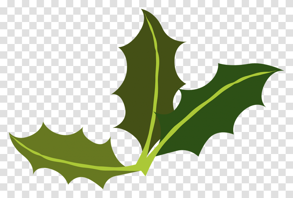 Yaupon Leaf Miner Common Holiday Clip Art, Plant, Produce, Food, Vegetable Transparent Png