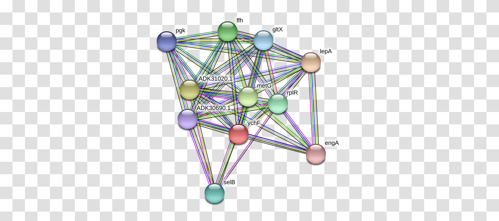 Ychf Protein Circle, Network, Sphere, Balloon, Lighting Transparent Png