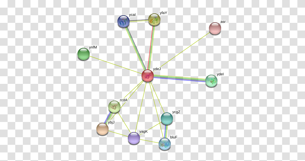 Ydej Protein Circle, Network, Diagram, Building Transparent Png