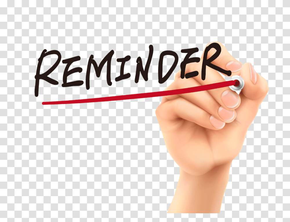 Year End Reminders For Ira Llc Solo, Person, Human, Hand Transparent Png