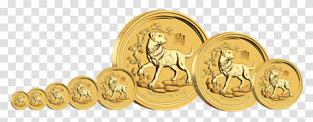 Year Of The Dog Gold Coin, Lion, Wildlife, Mammal, Animal Transparent Png