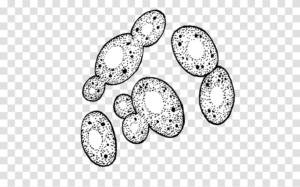 Yeast Black And White, Footprint, Stencil Transparent Png