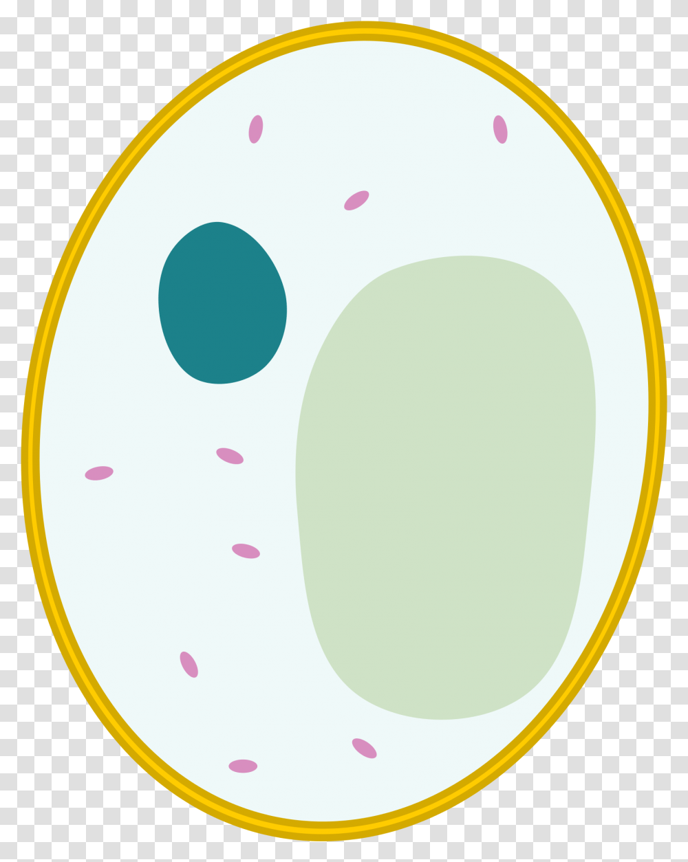 Yeast Cell Simple Animal Cell Unlabeled, Egg, Food, Oval, Text Transparent Png