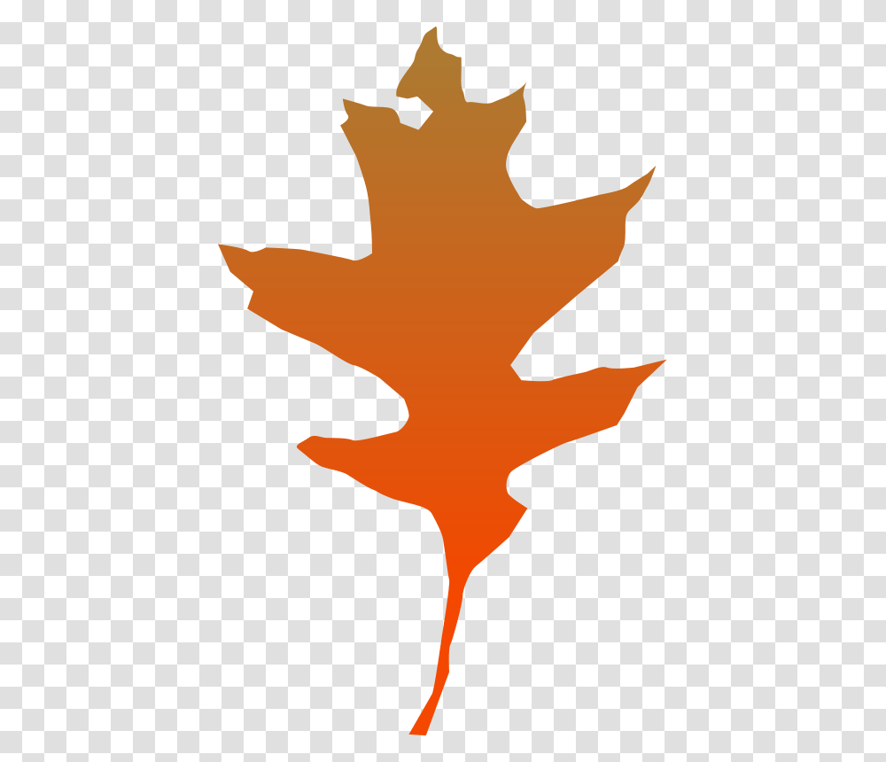 Yeli Free Download Vector, Leaf, Plant, Maple Leaf, Person Transparent Png