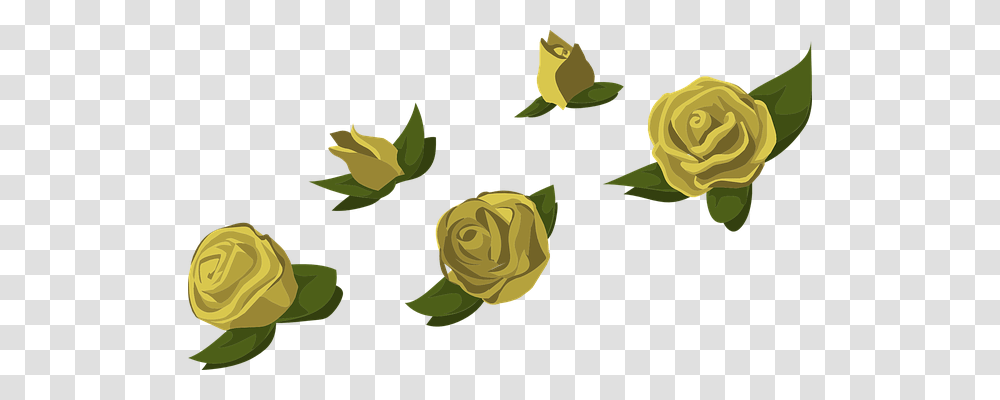 Yellow Nature, Rose, Flower, Plant Transparent Png