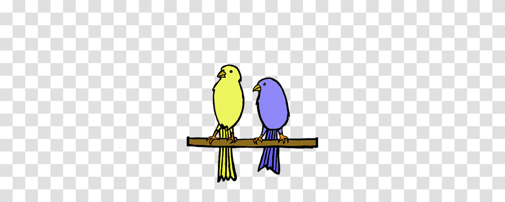 Yellow Nature, Bird, Animal, Canary Transparent Png