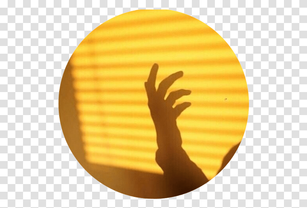 Yellow Aesthetic Tumblr Freetoedit Yellow Aesthetic Circle, Person, Hand, Finger, Thumbs Up Transparent Png
