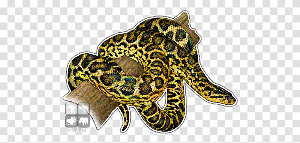 Yellow Anaconda Decal Yellow Anaconda, Animal, Reptile, Snake, Panther Transparent Png