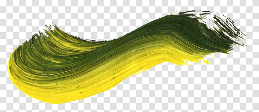 Yellow And Green Brush Stroke, Plant, Produce, Food, Leek Transparent Png